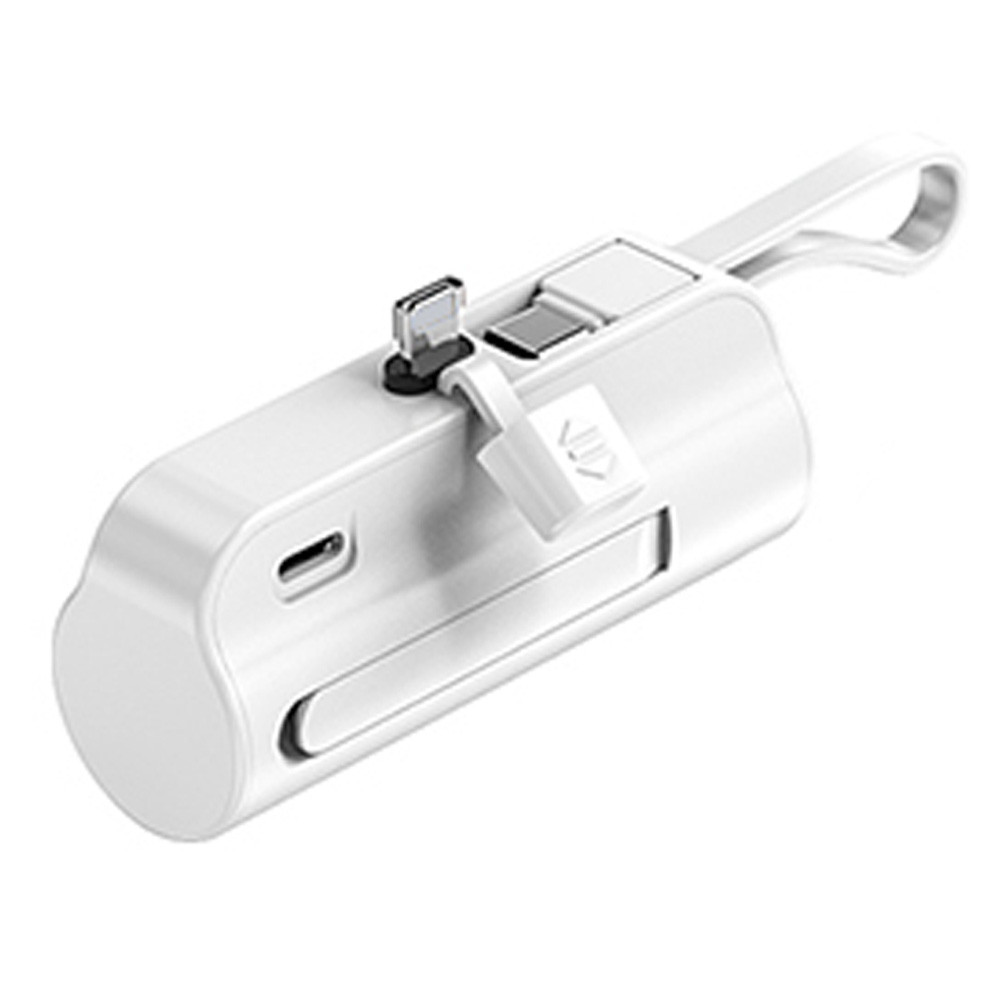 비즈 듀얼 미니 보조배터리 P10A (메인 8핀 보조 C타입) 보조밧데리