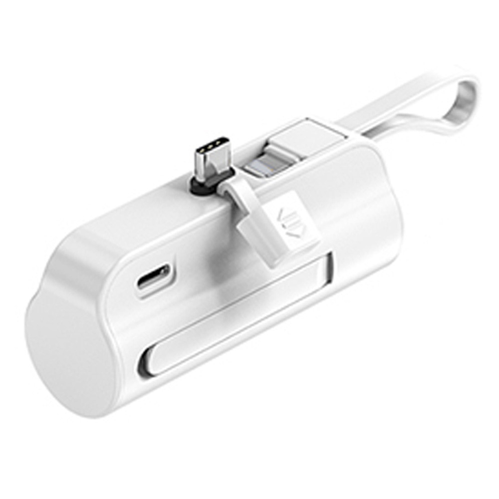 비즈 듀얼 미니 보조배터리 P10C (메인 C타입 보조 8핀) 보조밧데리