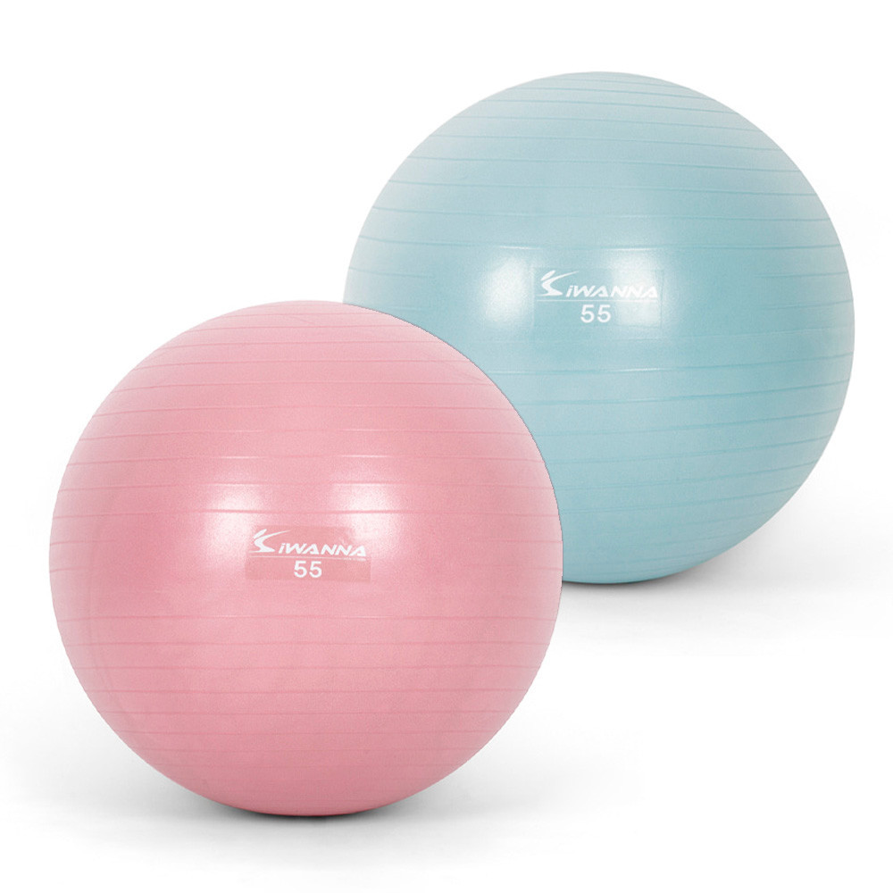 아이워너 짐볼 다이어트짐볼 55cm (택1) 마사지볼 마사지짐볼