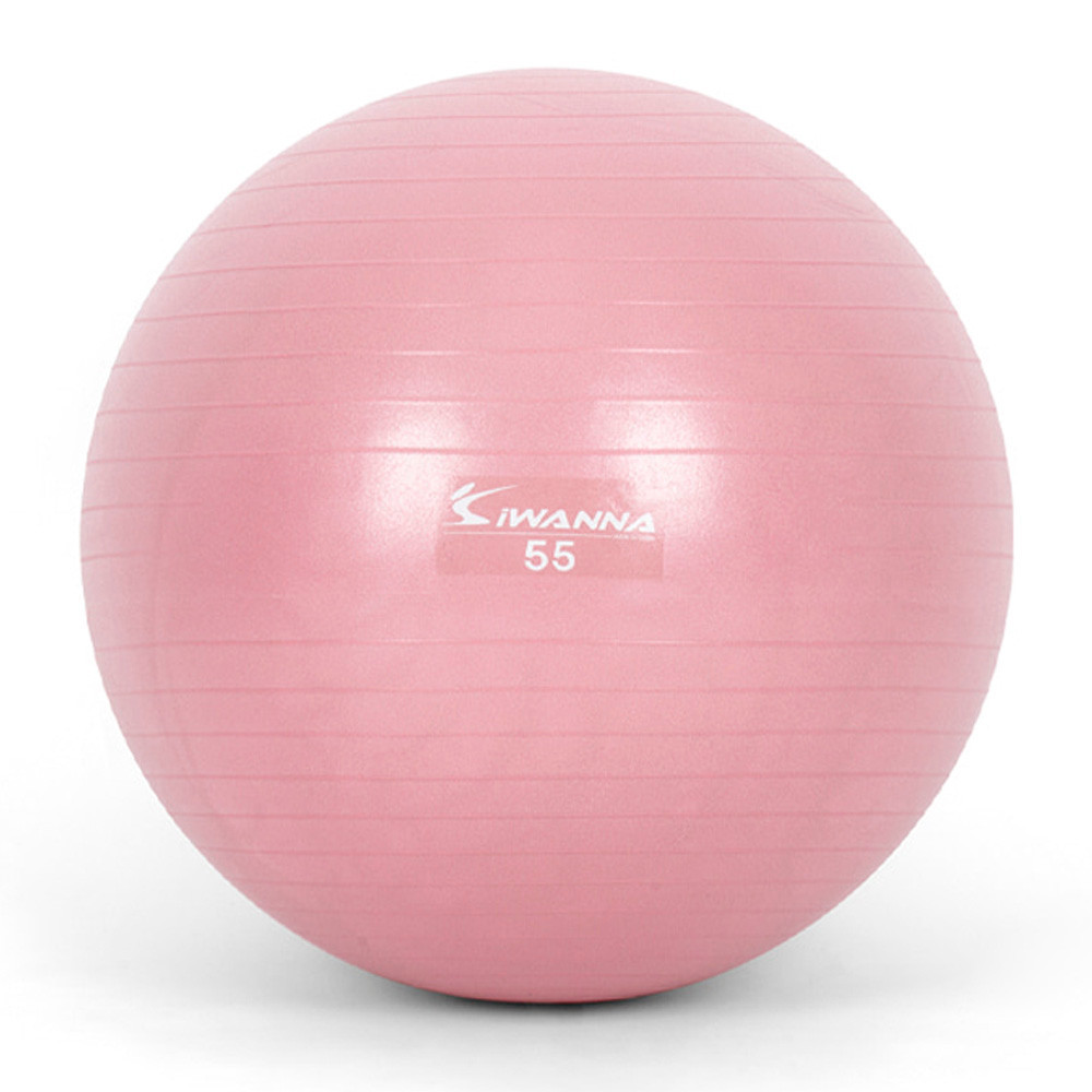 아이워너 짐볼 다이어트짐볼 55cm (와일드 핑크) 마사지볼 마사지짐볼