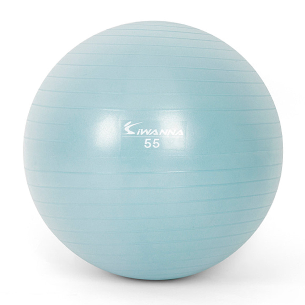 아이워너 짐볼 다이어트짐볼 55cm (더스티 블루) 마사지볼 마사지짐볼
