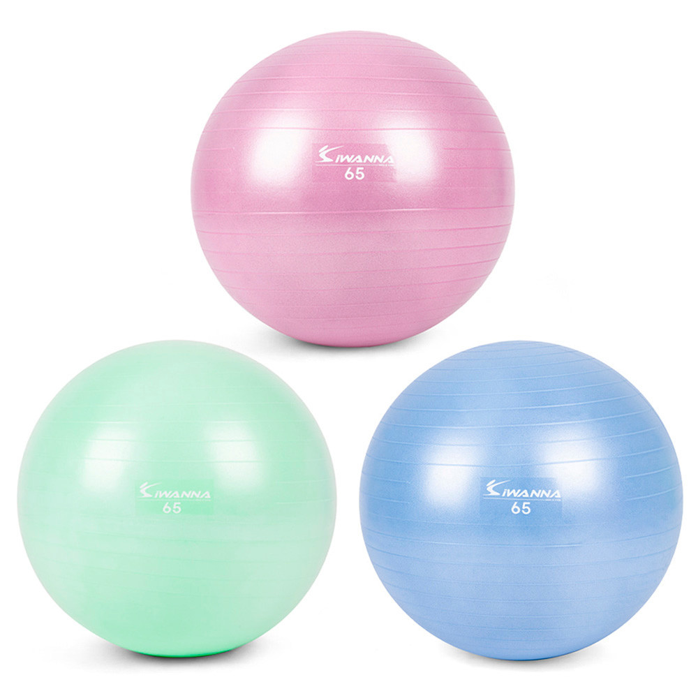 아이워너 짐볼 다이어트짐볼 65cm (택1) 마사지볼 마사지짐볼