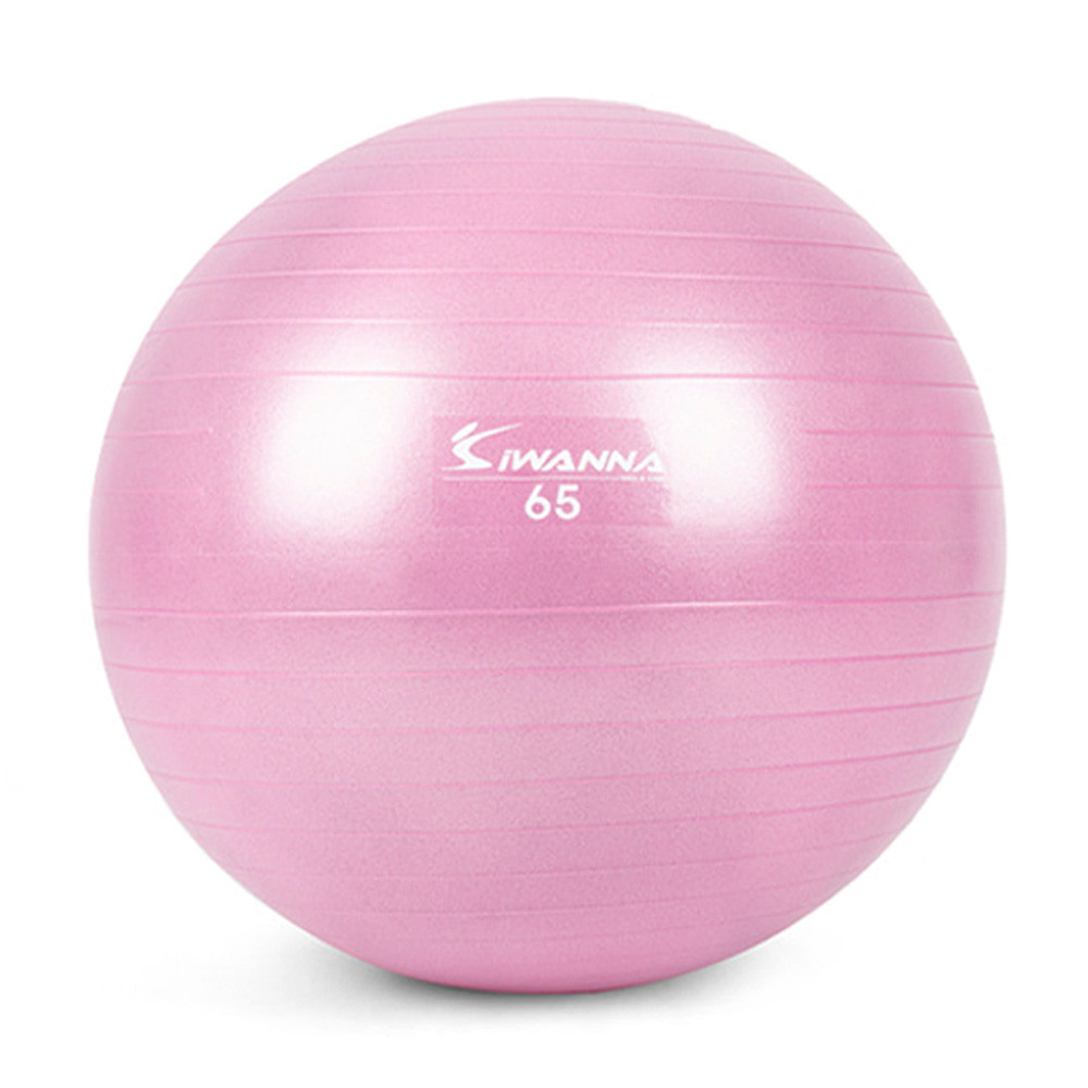 아이워너 짐볼 다이어트짐볼 65cm (라일락 퍼플) 마사지볼 마사지짐볼