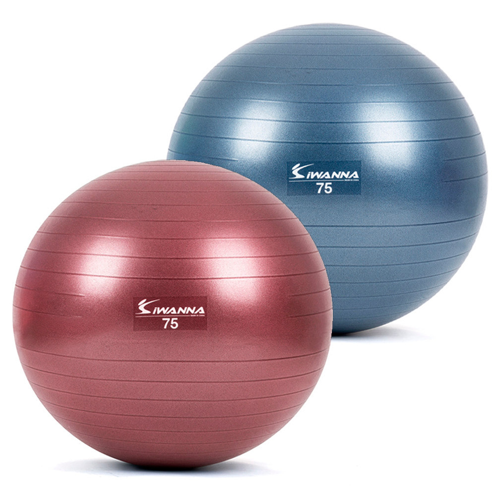 아이워너 짐볼 다이어트짐볼 75cm (택1) 마사지볼 마사지짐볼