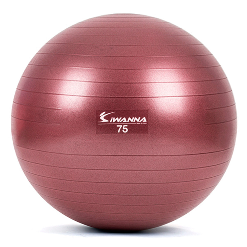 아이워너 짐볼 다이어트짐볼 75cm (루비 와인) 마사지볼 마사지짐볼