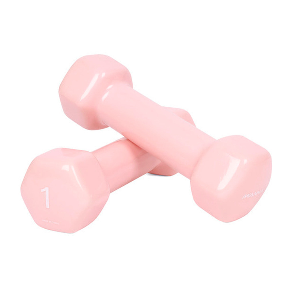 아이워너 덤벨 PVC 뷰티 육각덤벨 1kg x 2개 세트 (코랄핑크) 헬스용품 홈트 홈트레이닝