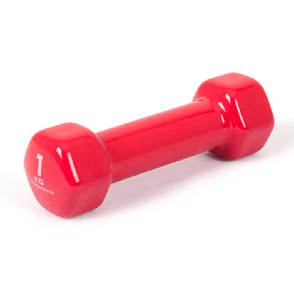 아이워너 아령 PVC 컬러아령 1.0kg (단품1개) (핫핑크) 헬스용품 홈트 홈트레이닝