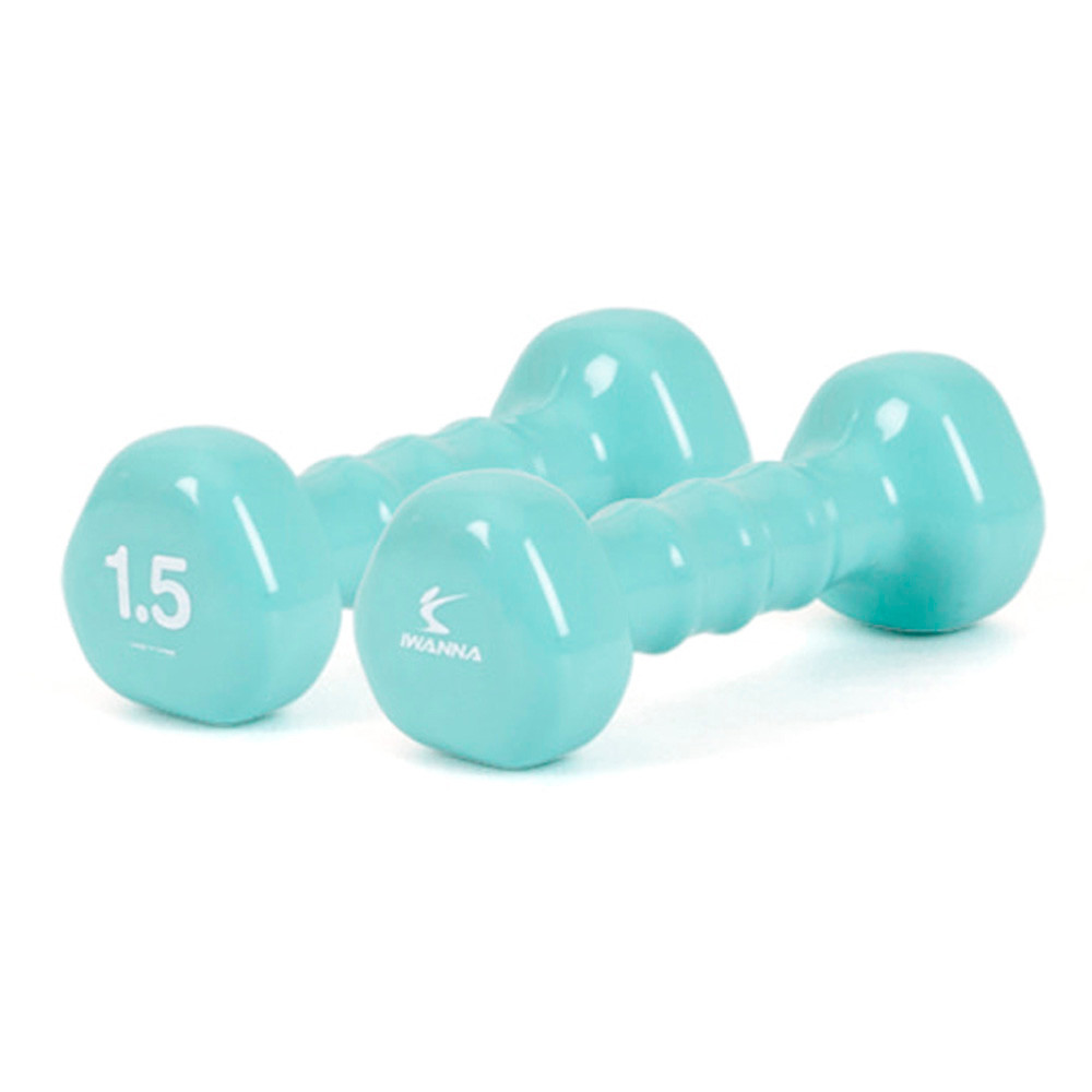 아이워너 아령 PVC 삼각아령 1.5kg (단품1개) (네오민트) 헬스용품 홈트 홈트레이닝
