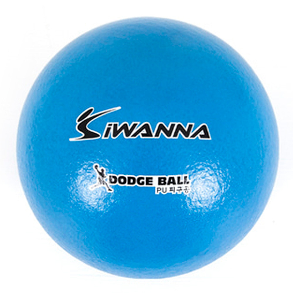 아이워너 피구 PU피구공 4호 21cm (블루) 피구공 스포츠공 스포츠볼