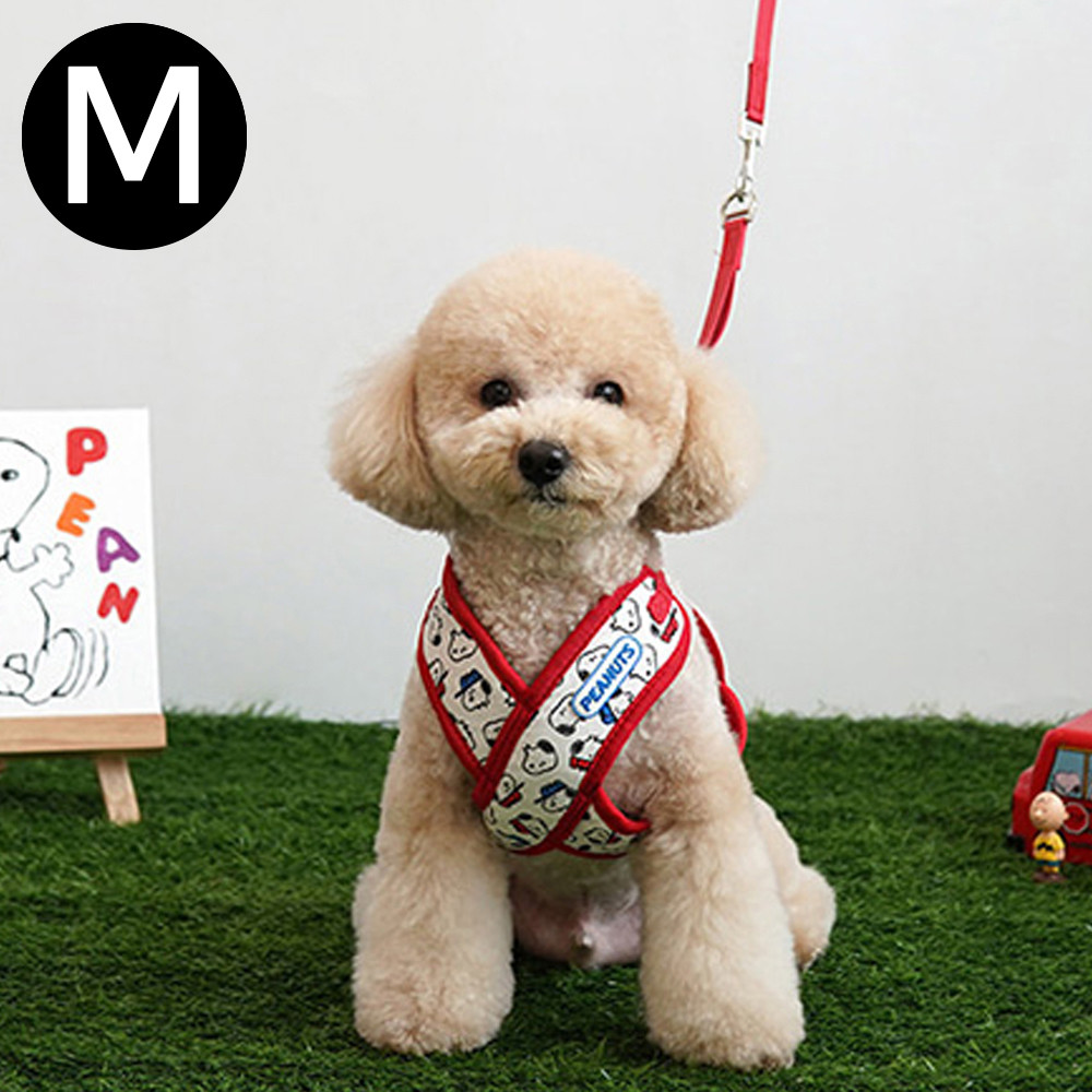 패리스독 피너츠 X하네스 세트 (레드) (M)