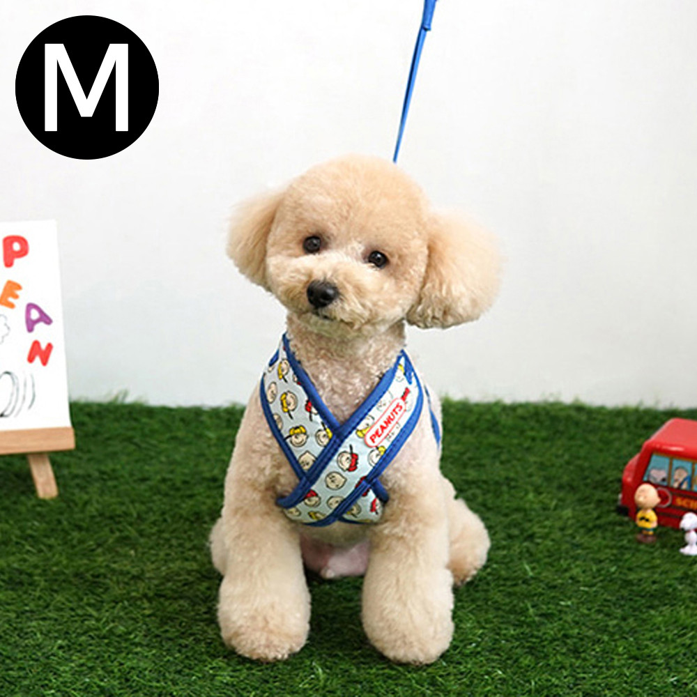 패리스독 피너츠 X하네스 세트 (블루) (M)