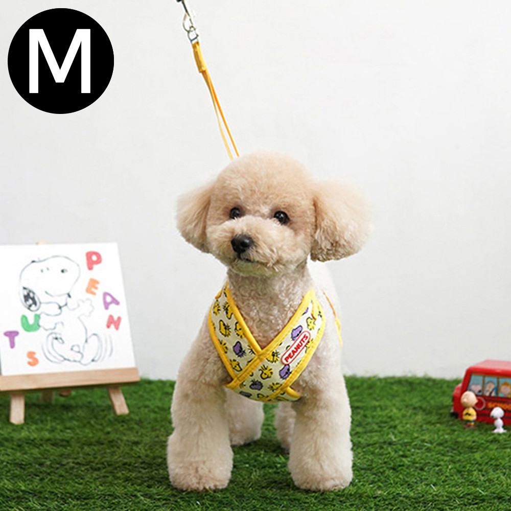 패리스독 피너츠 X하네스 세트 (옐로우) (M)