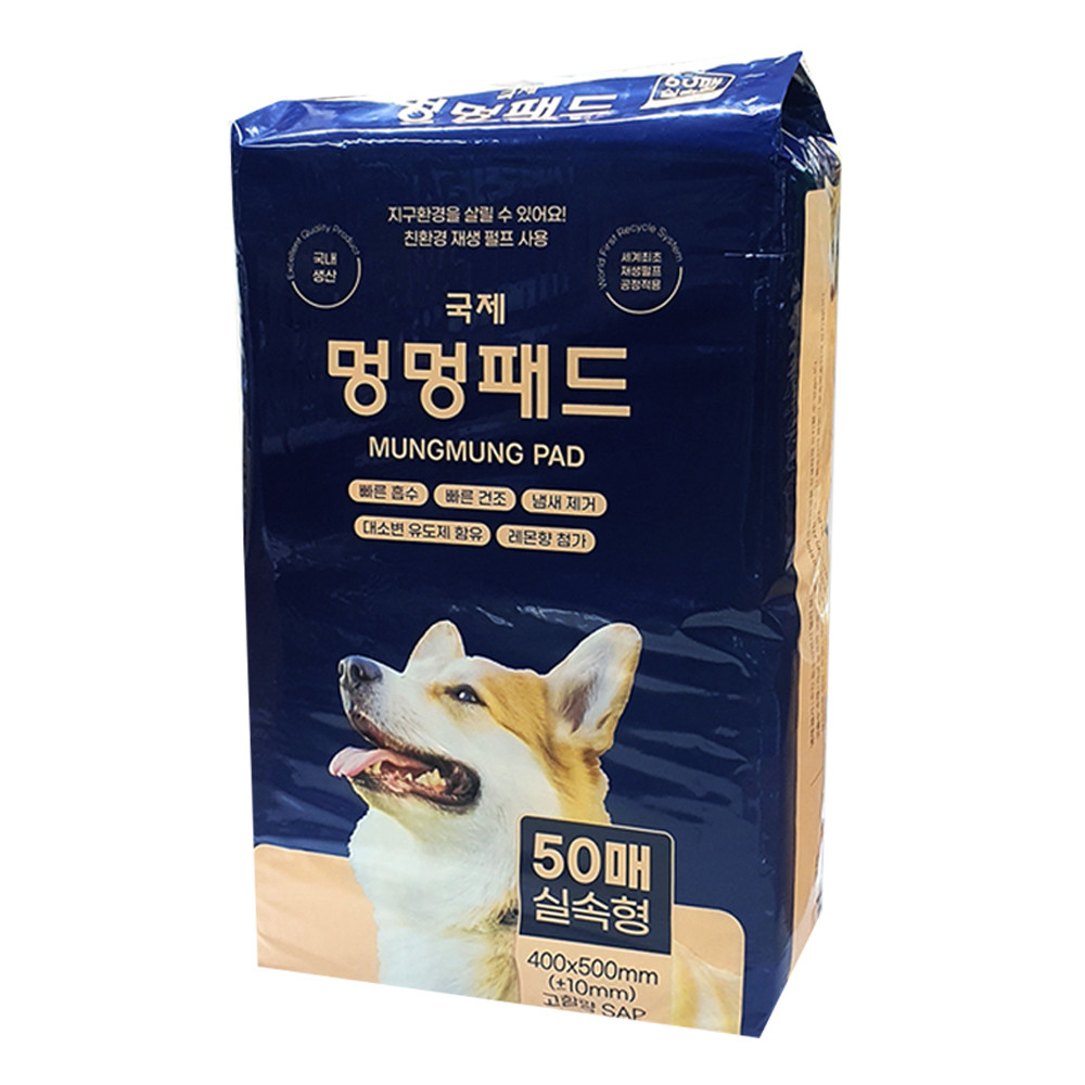 국제 멍멍 배변패드 50매 (블루포장)