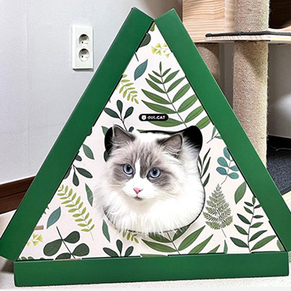 도트캣 스크레쳐 트라이앵글 (보타닉가든)