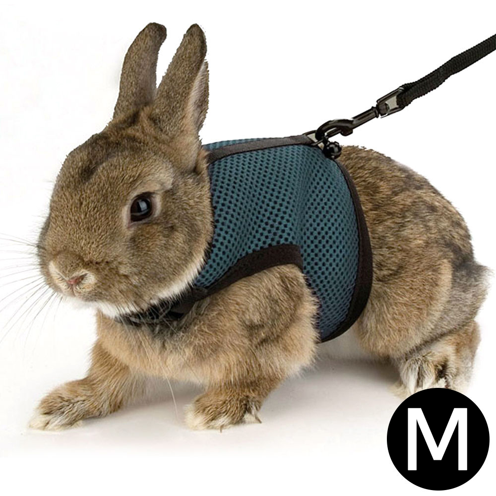 퍼프라스트 조깅 하네스 (네이비) (M) (소형동물용)