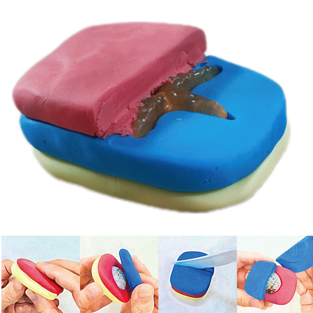 꼬메빔보 향기 층층이 화석비누 만들기 (초등4학년 과학 교과서 수록)