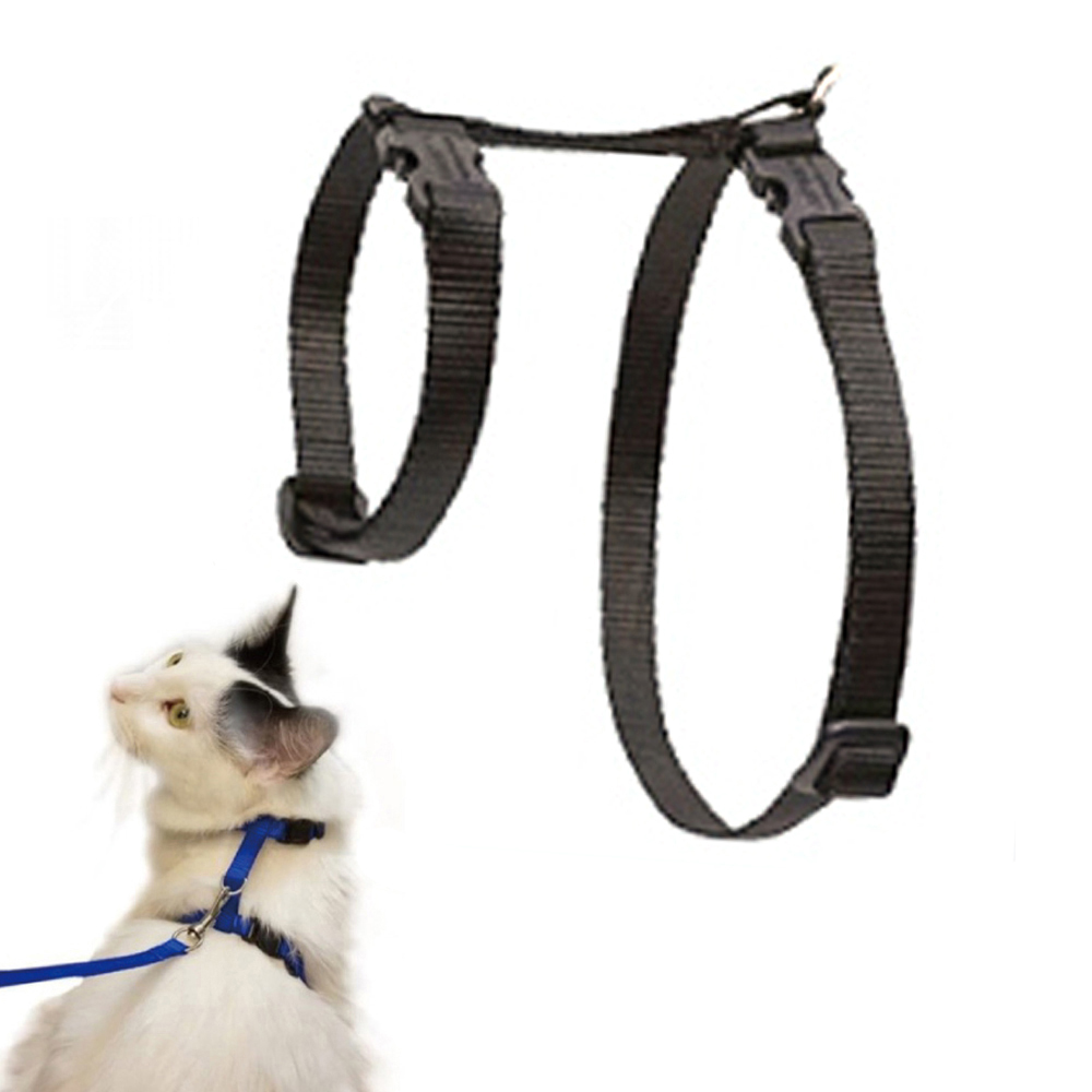 프리독 고양이 하네스 (블랙) (리드줄포함)