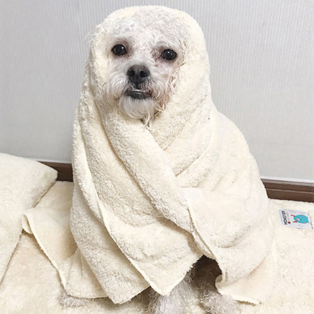 초코펫하우스 몬스터 펫타올 (베이지) (중형)