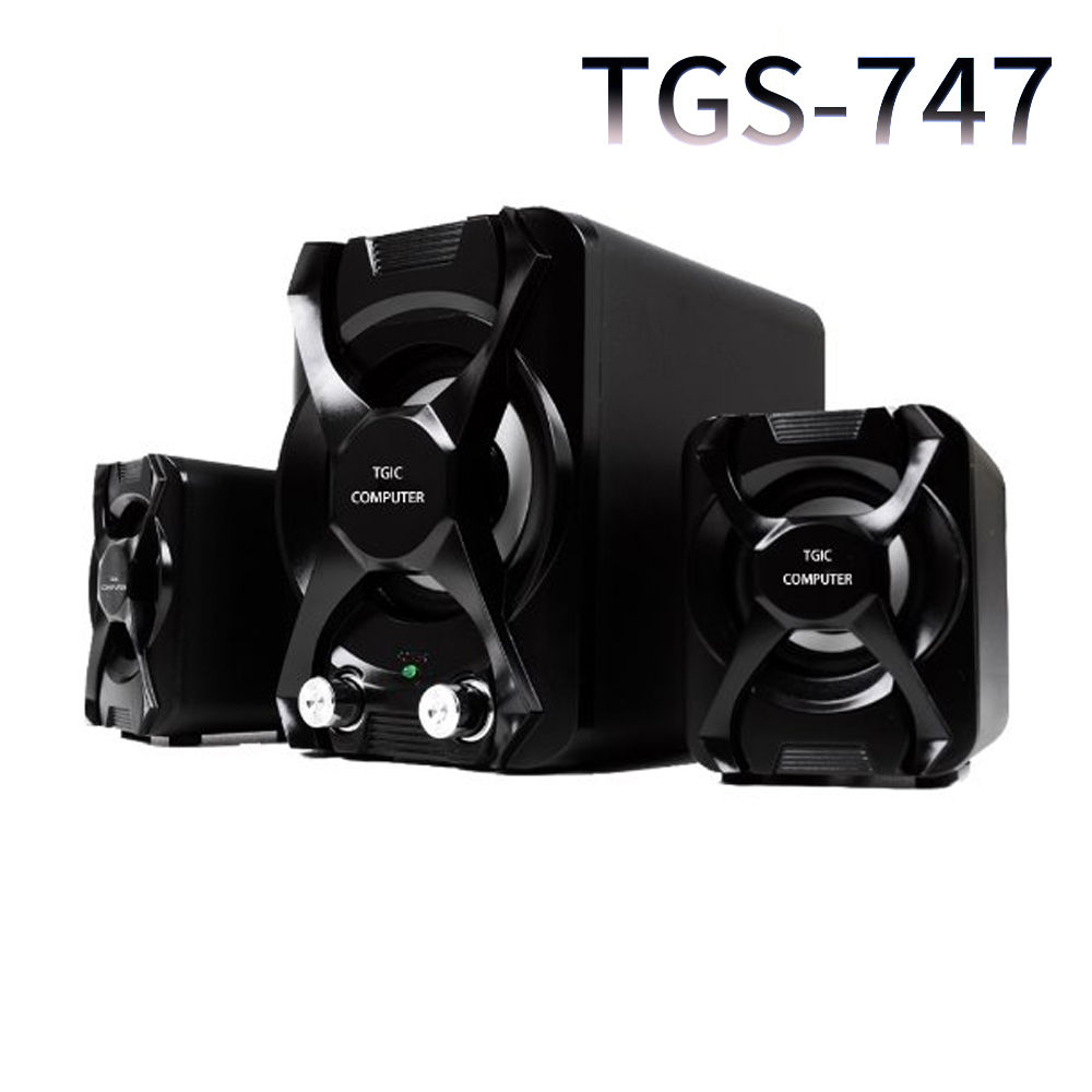 TGS 2.1채널 우퍼스피커 (TGS-747)