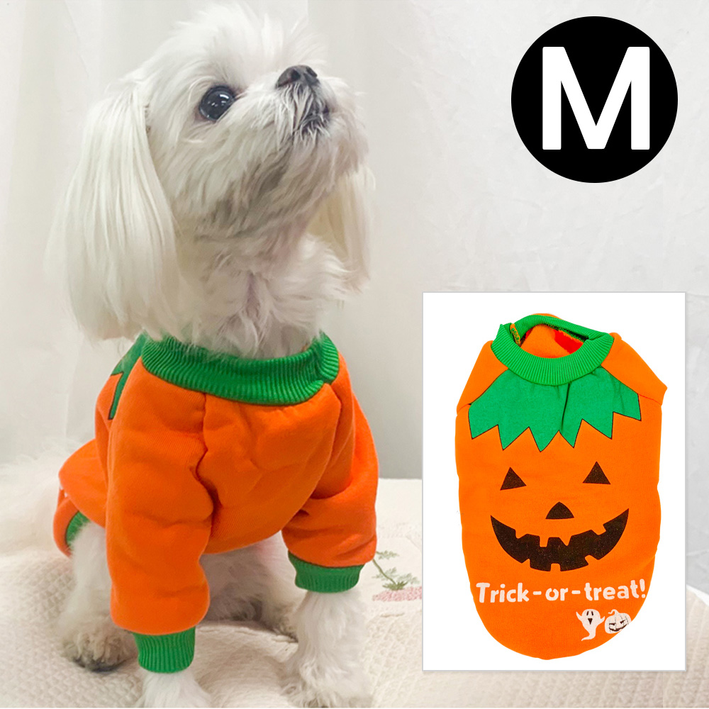 해피파티 펫 이벤트 의상 할로윈 코스튬 펌프킨 (M)