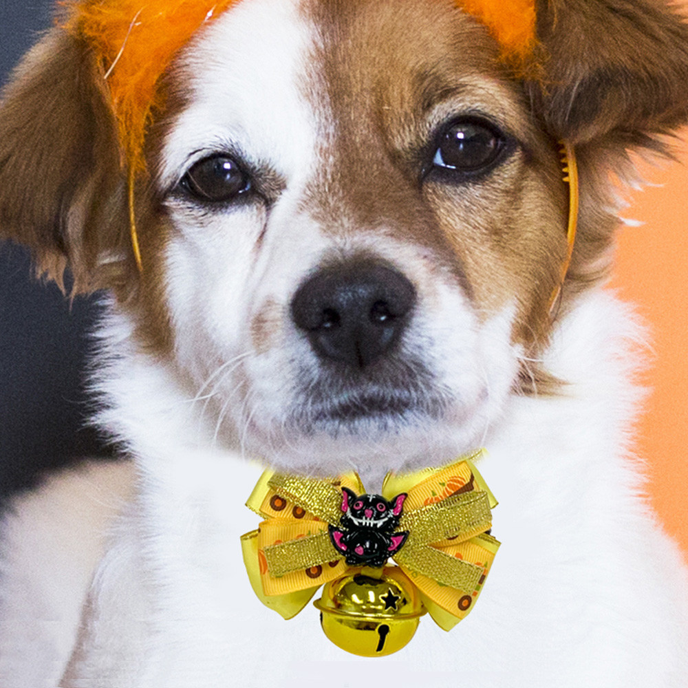 해피파티 펫 이벤트 할로윈 방울 목걸이 박쥐 리본