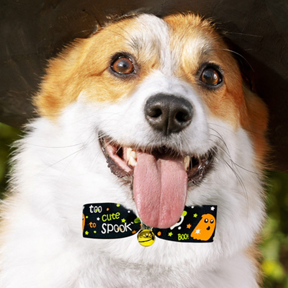 해피파티 펫 이벤트 할로윈 방울 목걸이 유령 리본