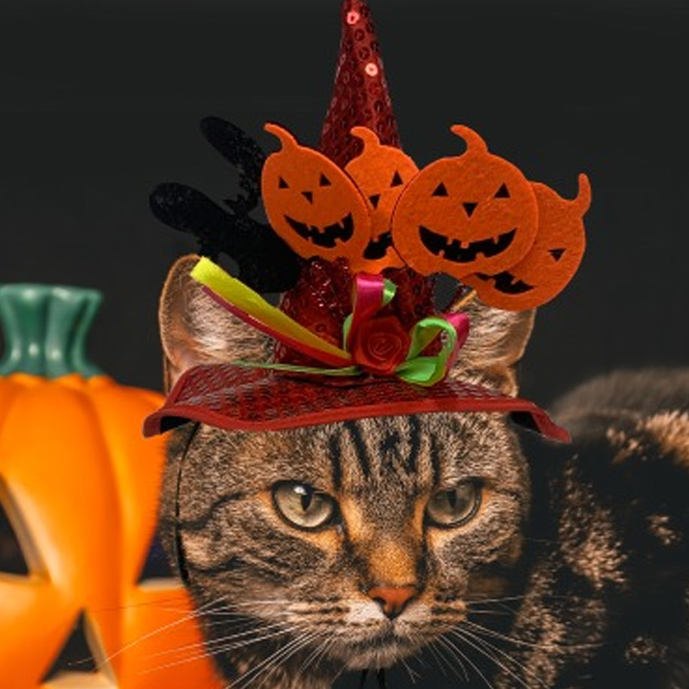 해피파티 펫 이벤트 할로윈 고급 마녀모자 (레드)