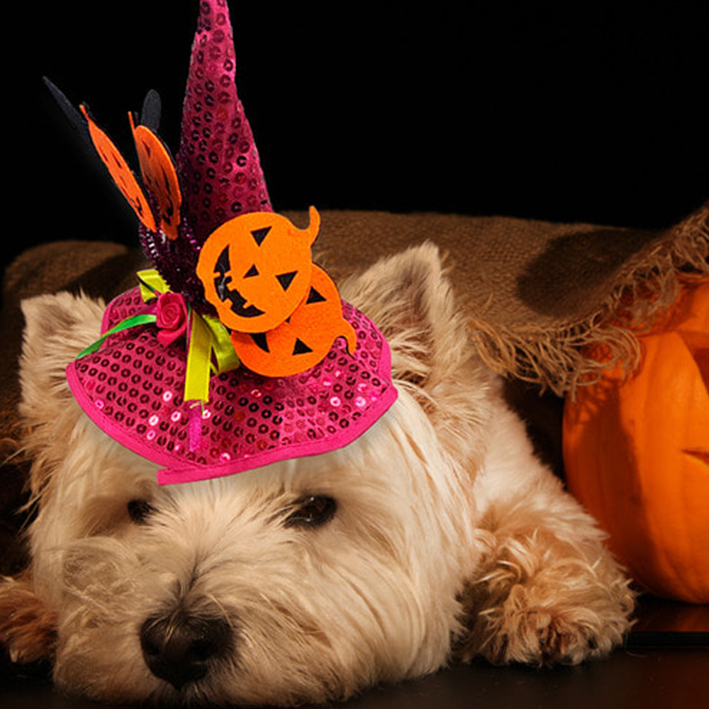 해피파티 펫 이벤트 할로윈 고급 마녀모자 (핫핑크)