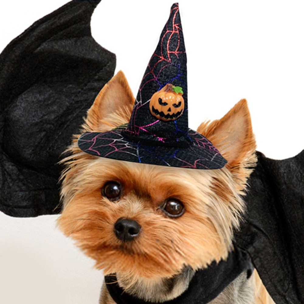 해피파티 펫 이벤트 할로윈 미니 마녀모자 호박 (블랙)