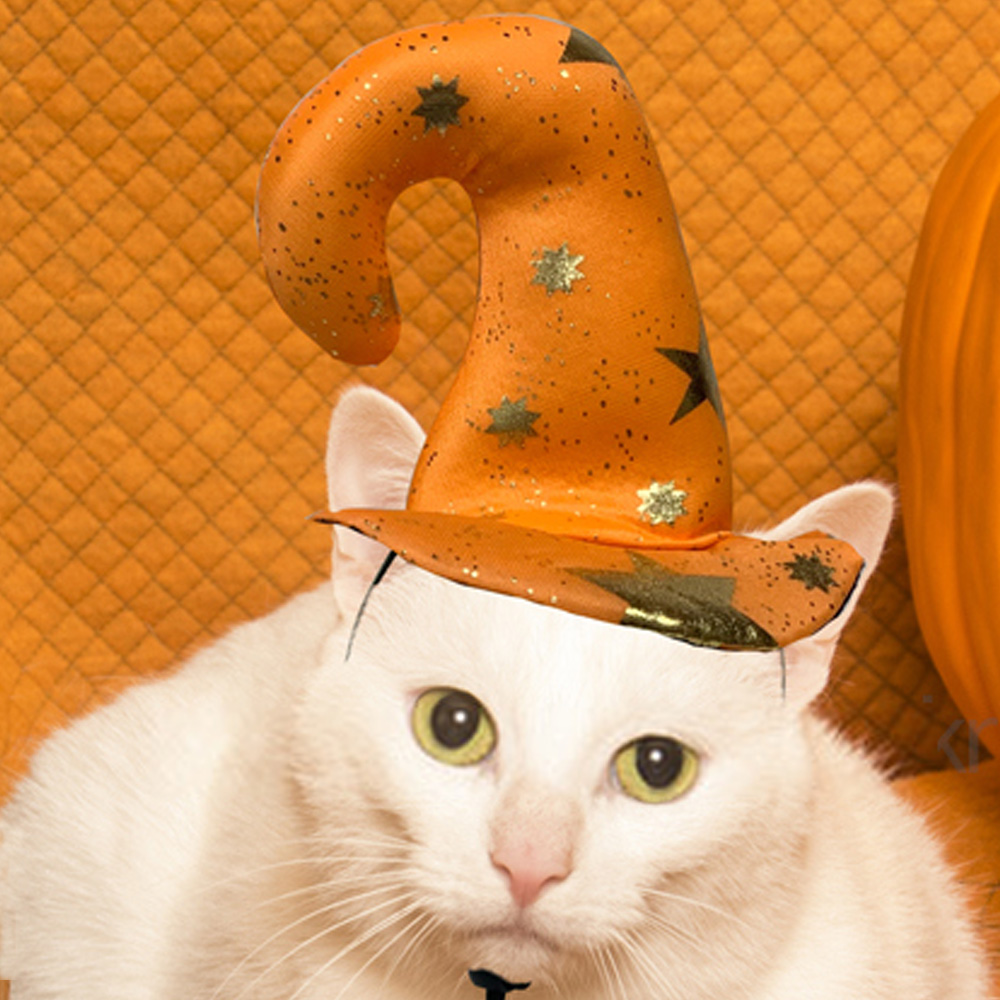 해피파티 펫 이벤트 할로윈 미니 고급 마녀모자 별 (오렌지)