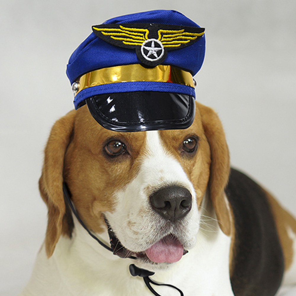 해피파티 펫 이벤트 강아지 모자 아메리칸 포스트