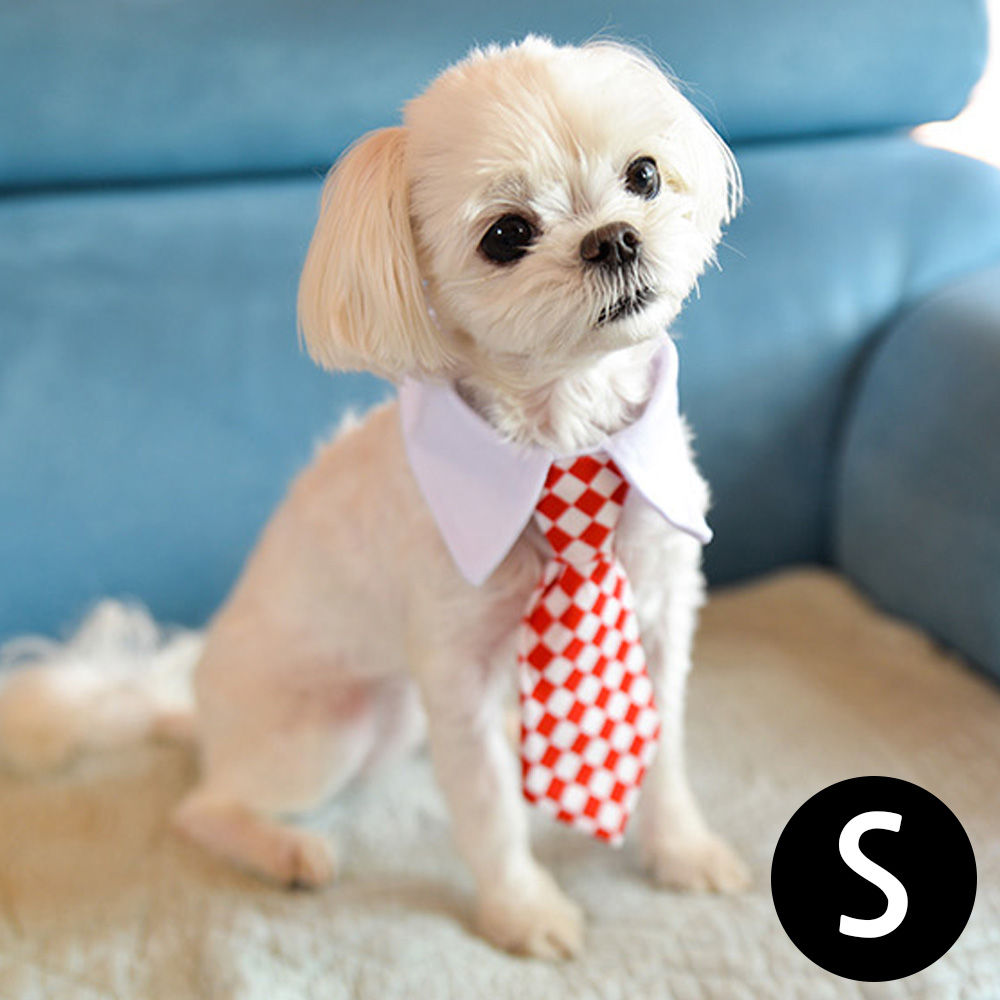 해피파티 펫 이벤트 결혼식 상견례 카라 넥타이 (S) (레드 다이아몬드)