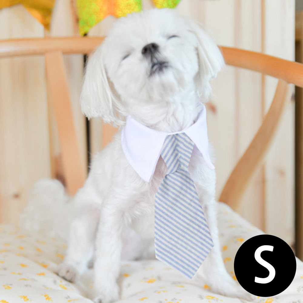 해피파티 펫 이벤트 결혼식 상견례 카라 넥타이 (S) (블루 스트라이프)