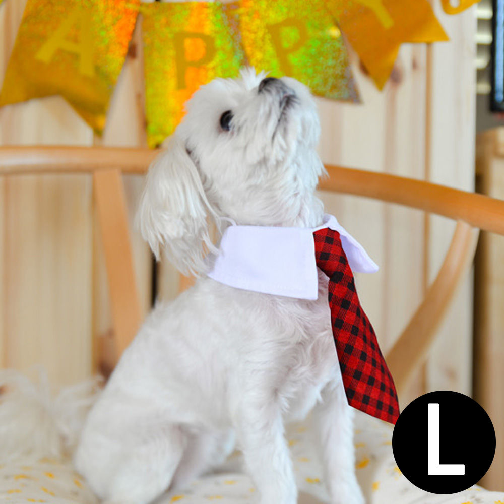 해피파티 펫 이벤트 결혼식 상견례 카라 넥타이 (L) (레드체크)