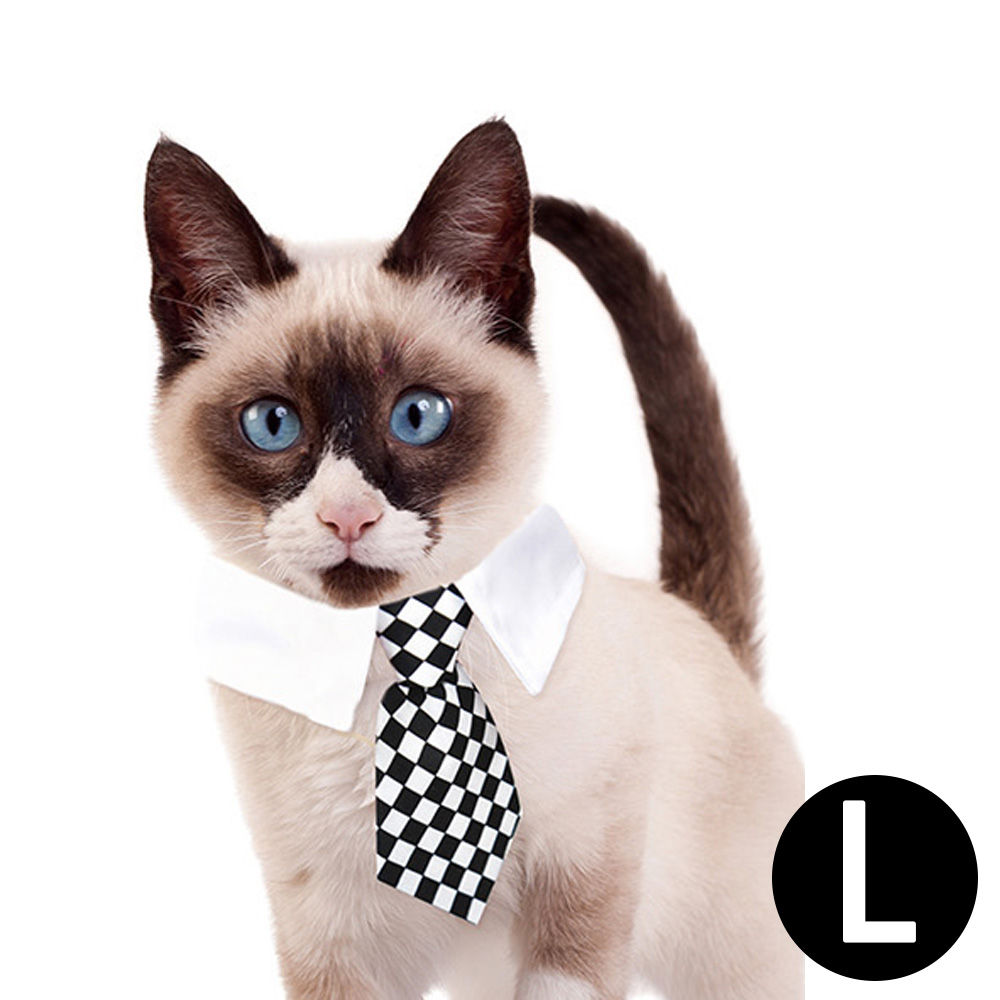 해피파티 펫 이벤트 결혼식 상견례 카라 넥타이 (L) (블랙 다이아몬드)