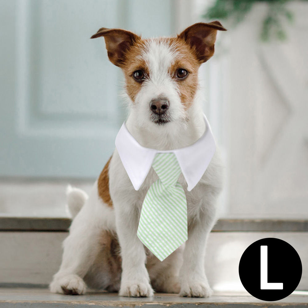 해피파티 펫 이벤트 결혼식 상견례 카라 넥타이 (L) (민트 스트라이프)