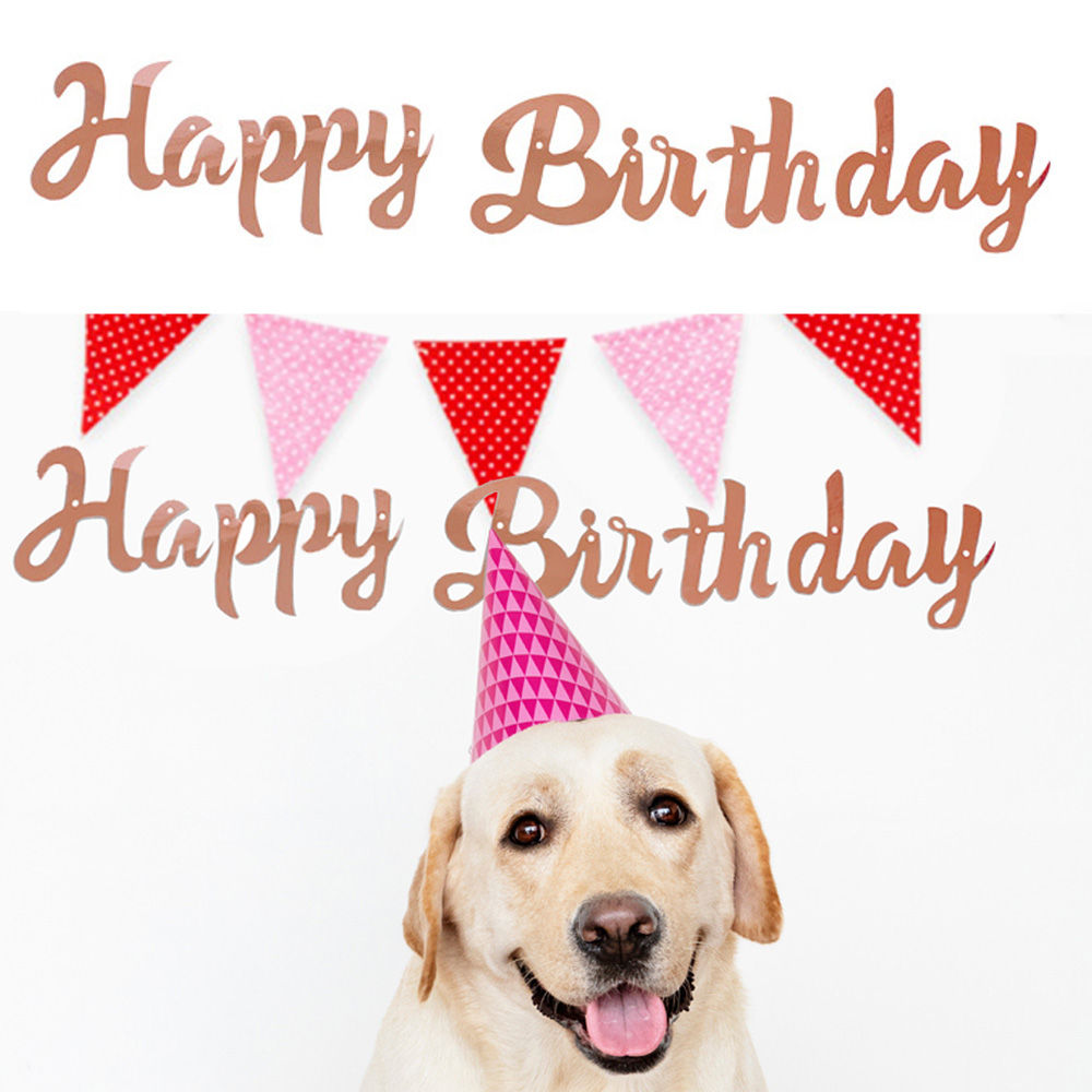 해피파티 펫 이벤트 생일 해피버스데이 흘림체 가랜드 (로즈골드)