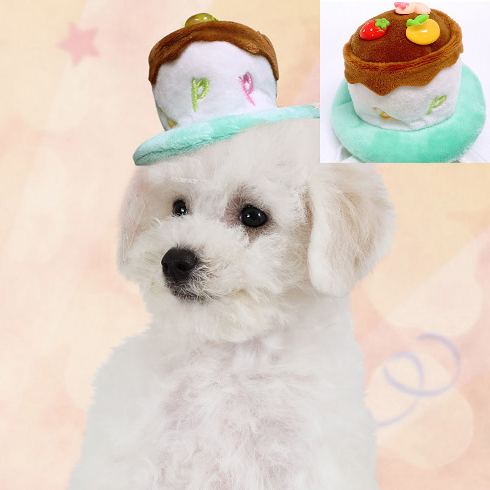 해피파티 펫 이벤트 생일 미니 생일케익 머리띠 (민트)