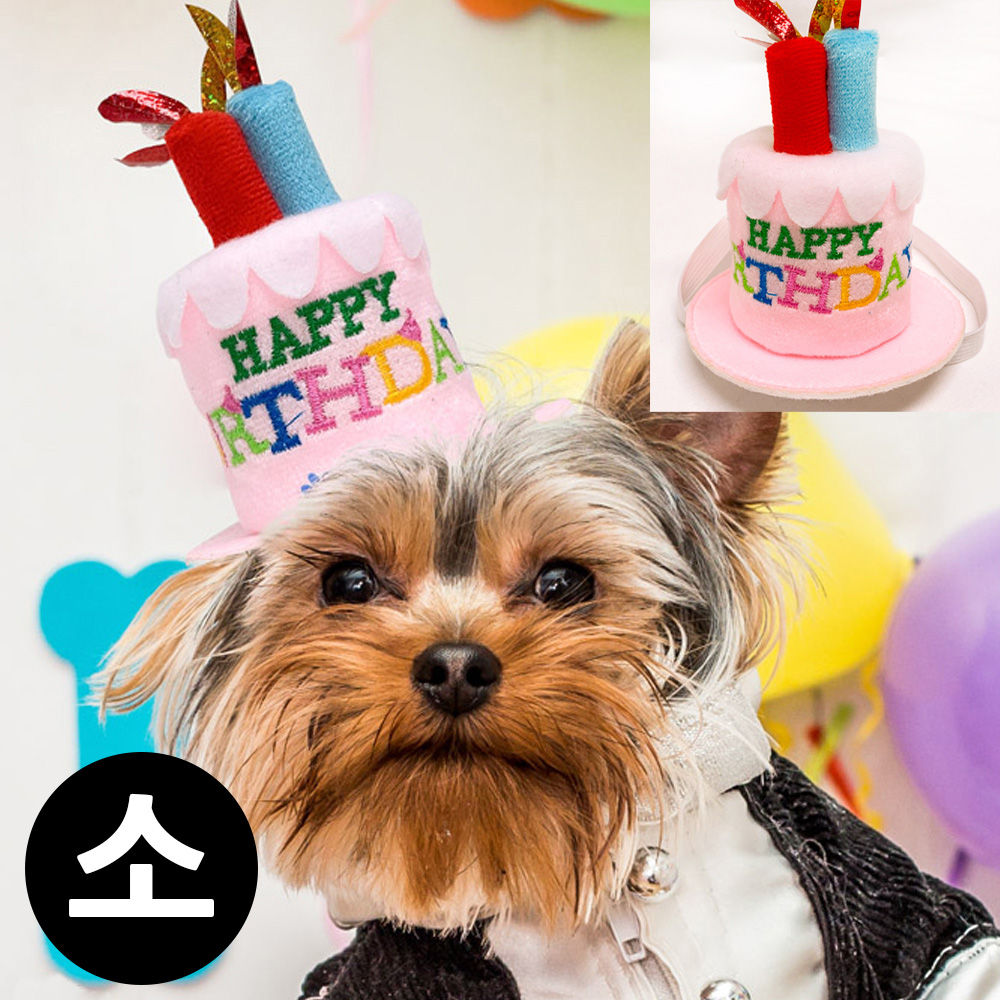 해피파티 펫 이벤트 생일 생일초 머리띠 (소) (핑크)