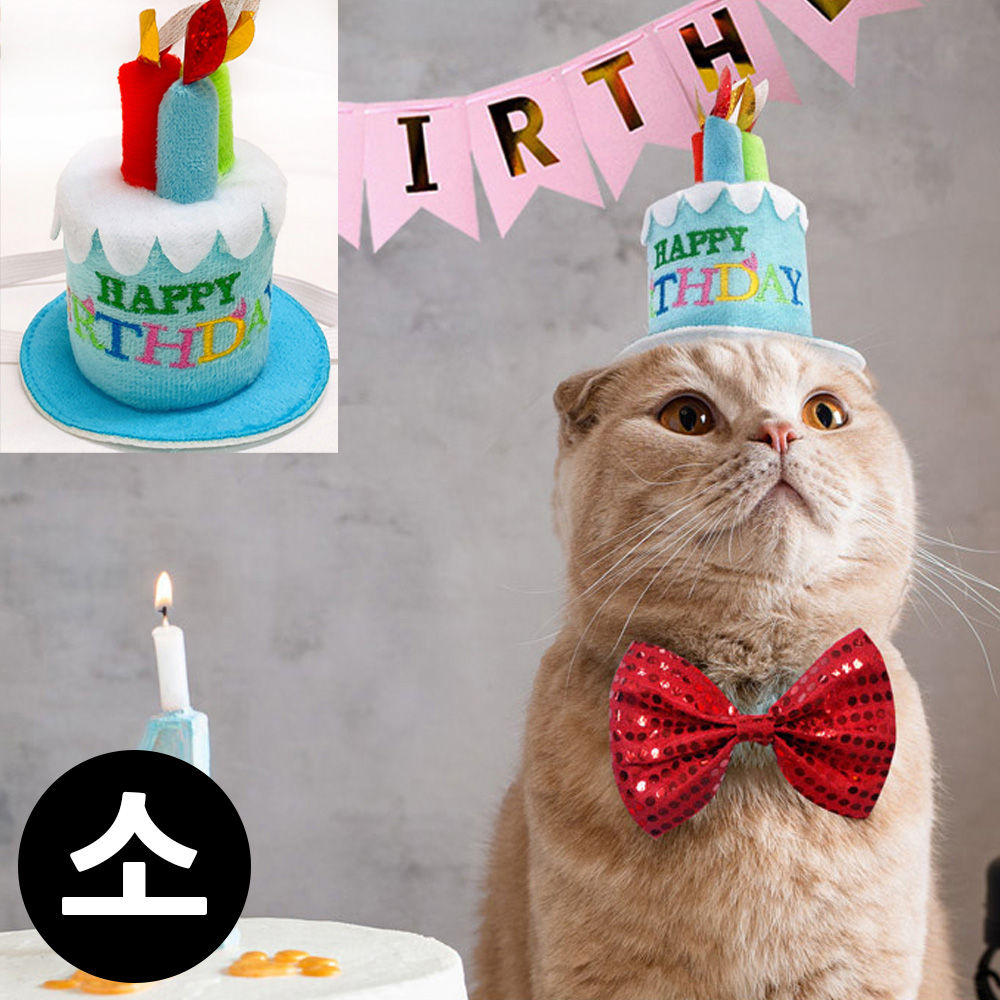 해피파티 펫 이벤트 생일 생일초 머리띠 (소) (블루)