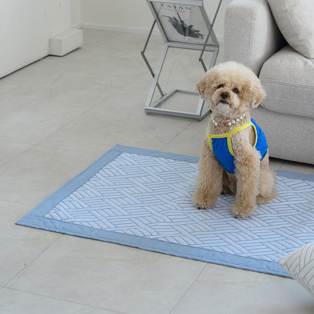 해피니 미니패드 엘리오 듀라론 3중직 냉감패드 패드 XS (블루)