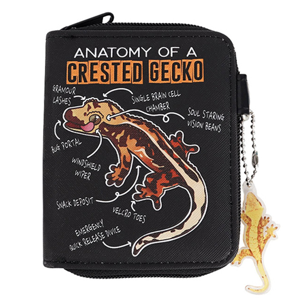 윙하우스 학생지갑 크레스티드 게코 남학생 지갑 캐릭터 편리한 예쁜지갑