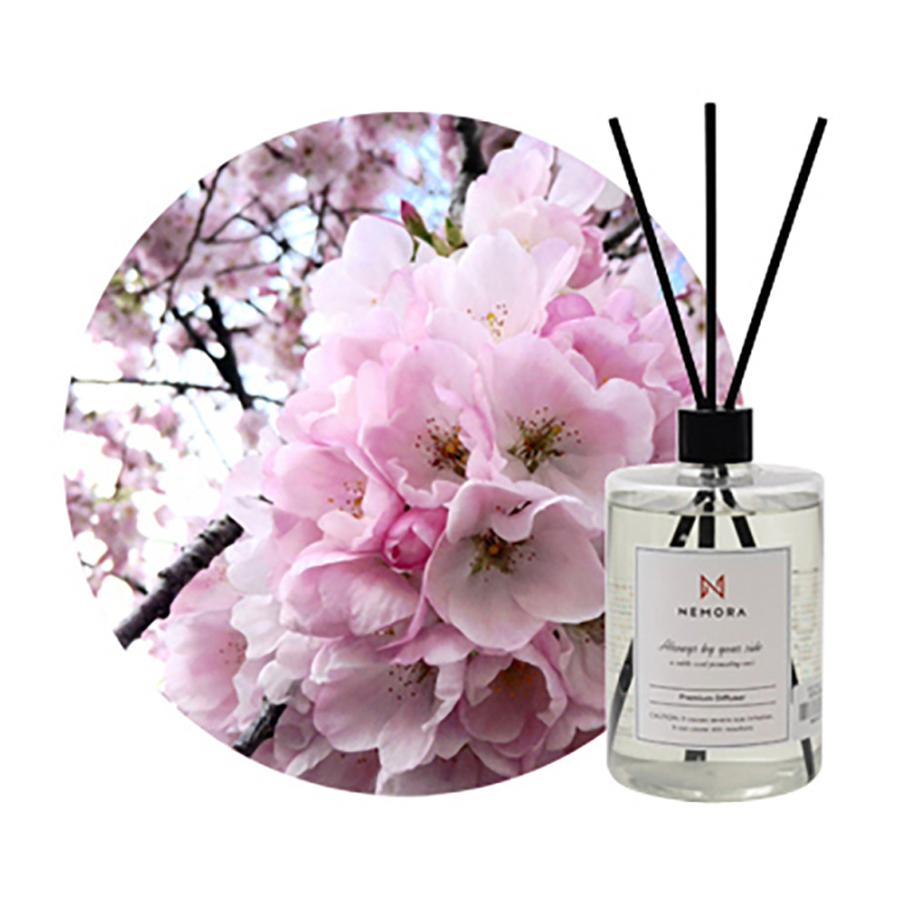 네모라 디퓨저 대용량 방향제 프리미엄 고급 500ml (체리블러썸)