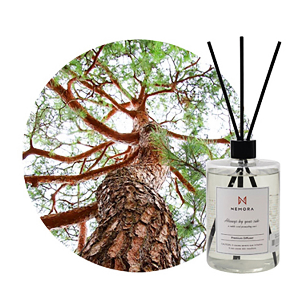 네모라 디퓨저 대용량 방향제 프리미엄 고급 500ml (파인)