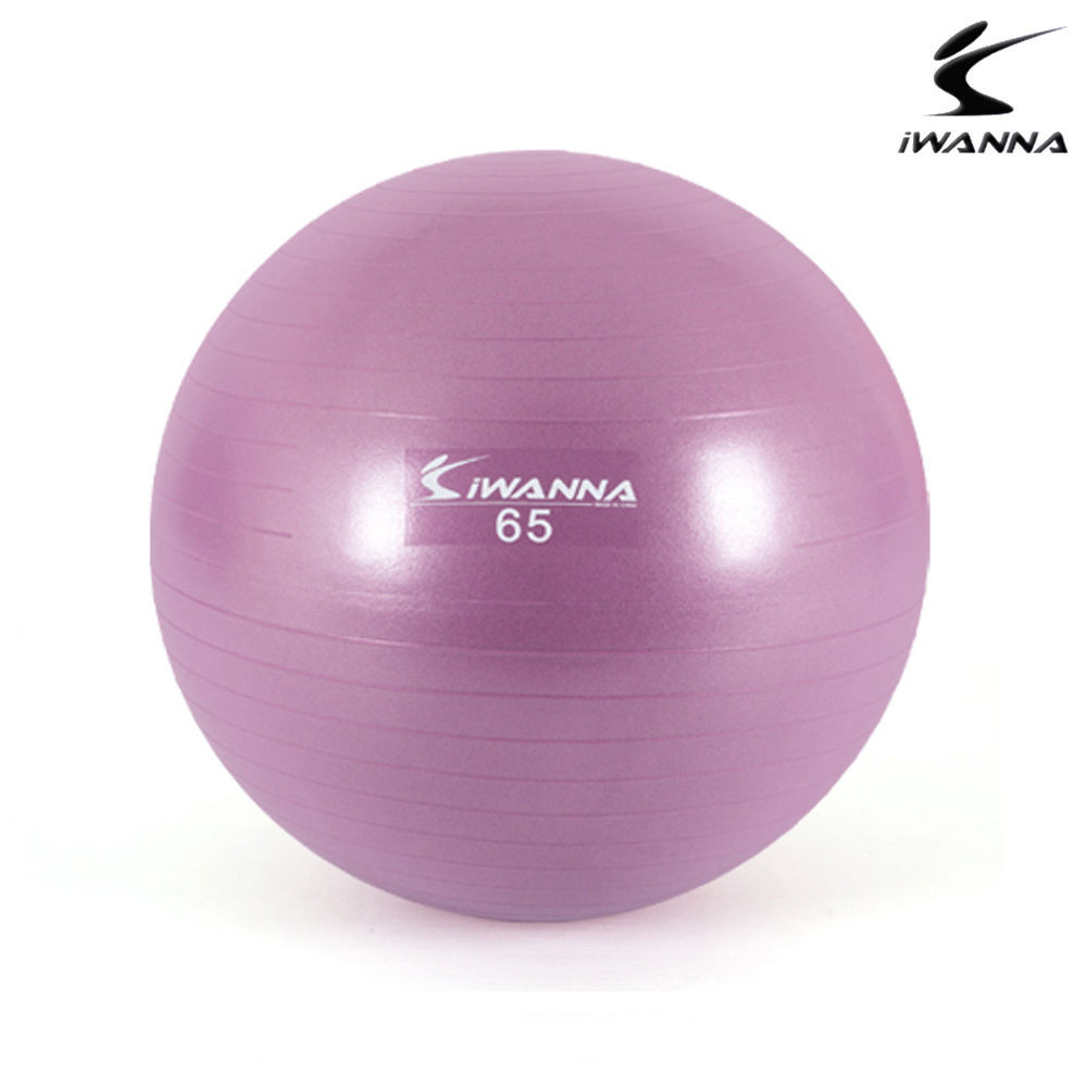 아이워너 다이어트 짐볼 65cm (라일락)