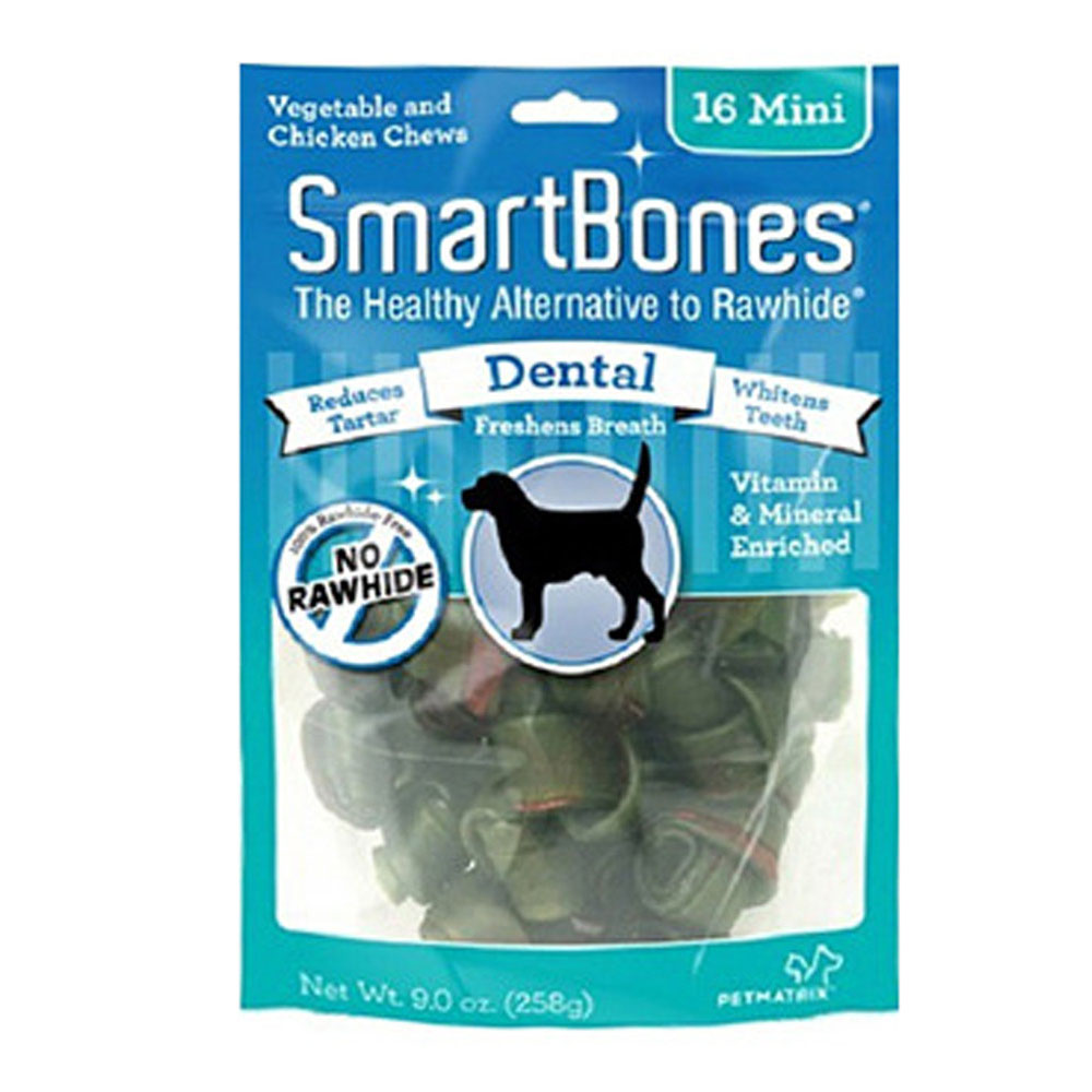 스마트본 덴탈 미니 (16P) (치석.구취)