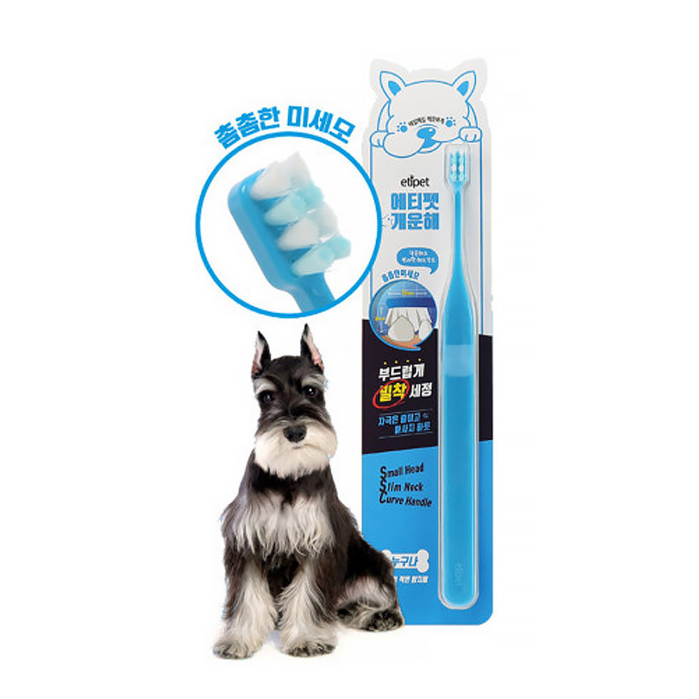 에티펫 개운해 칫솔 부드럽게 밀착 (누구나) (블루)