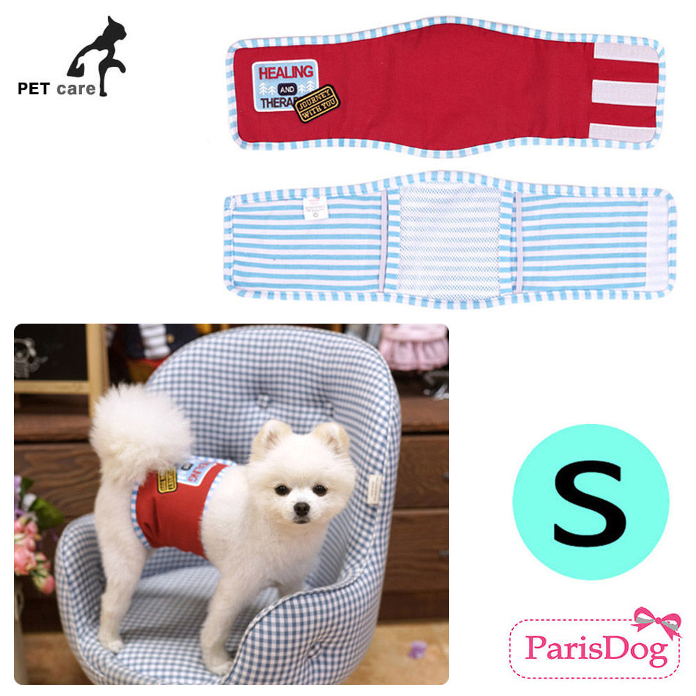 패리스독 힐링캠프 매너벨트 (레드) (S)