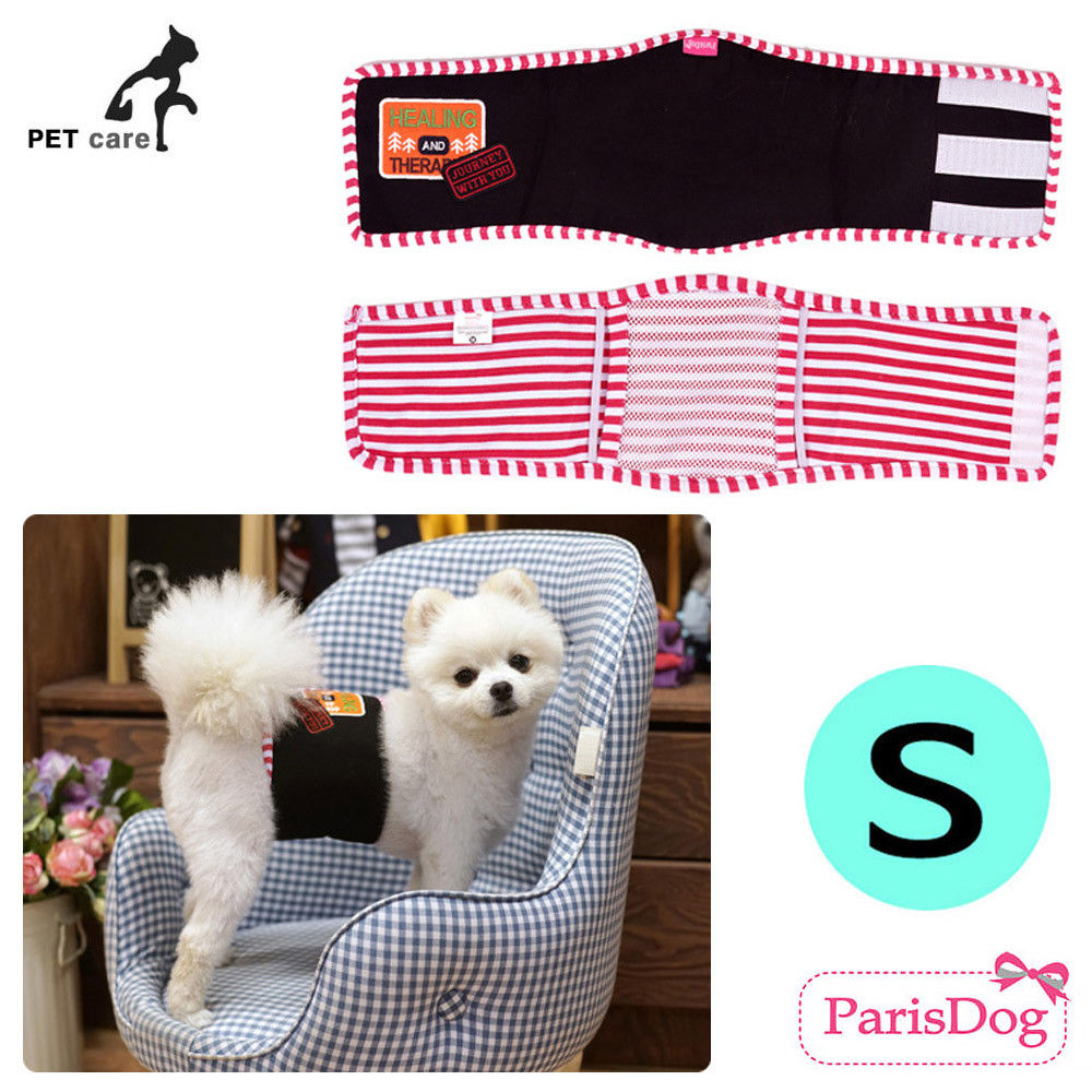 패리스독 힐링캠프 매너벨트 (블랙) (S)