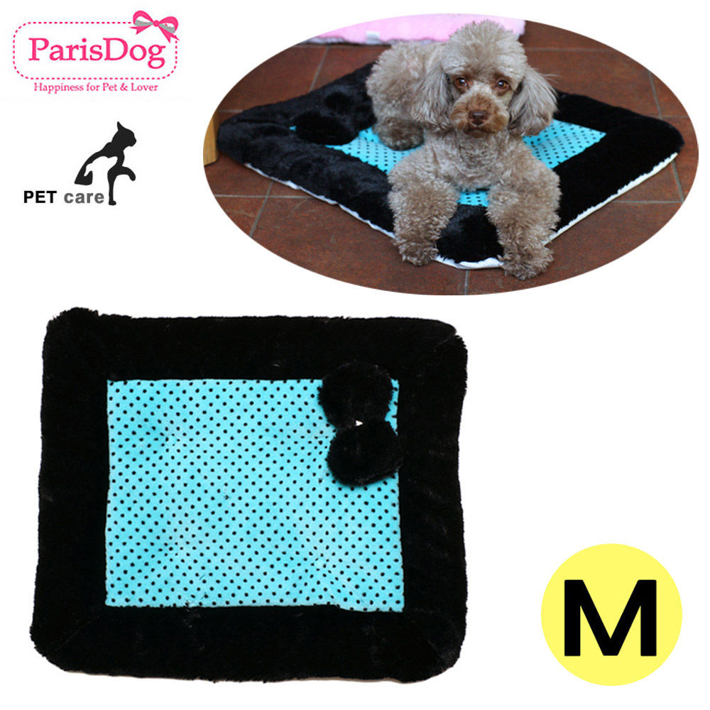 패리스독 리본 매트 미디움 (블루)